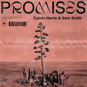 Calvin Harris feat. Sam Smith