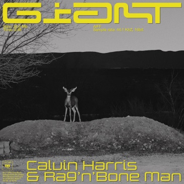 CALVIN HARRIS & RAG`N`BONE MAN