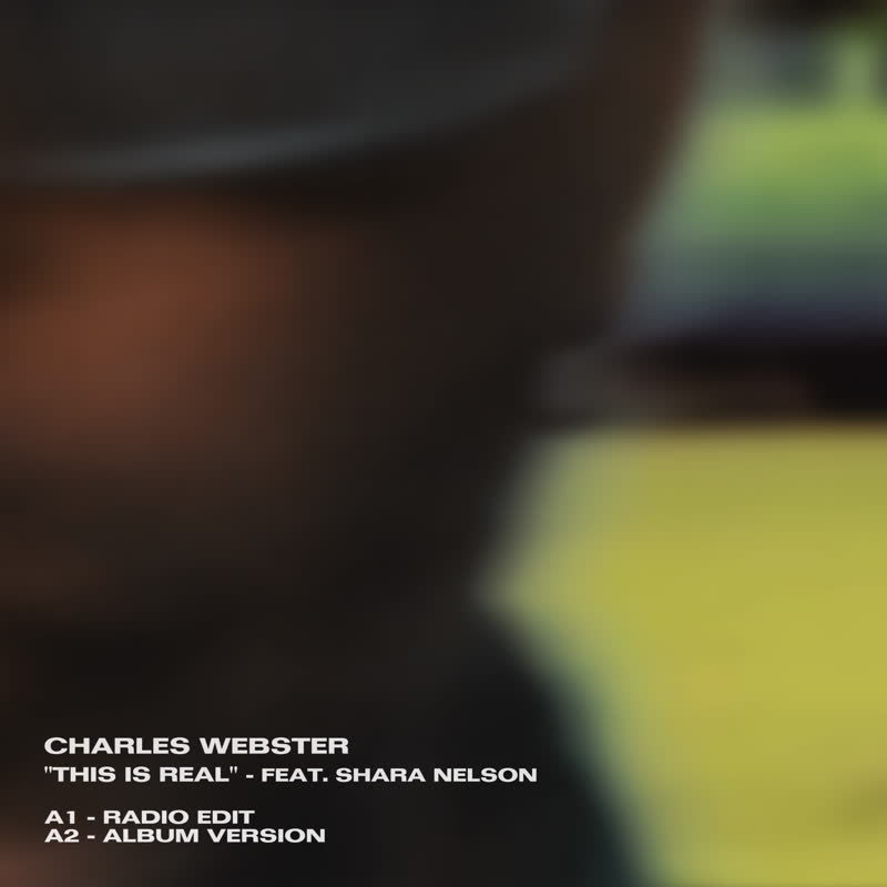 Charles Webster feat. Shara Nelson