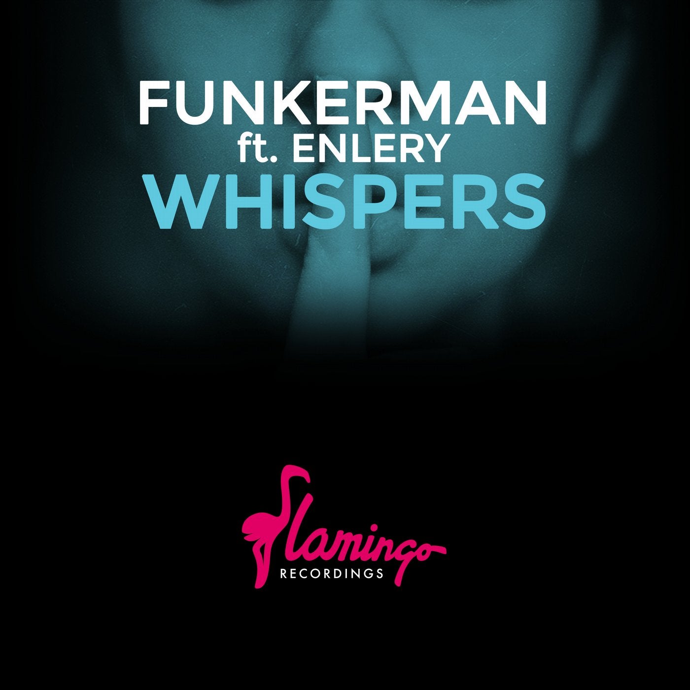 Funkerman feat. Enlery 