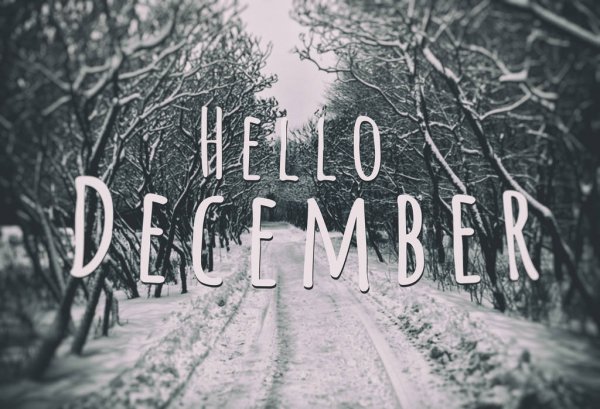Holy December