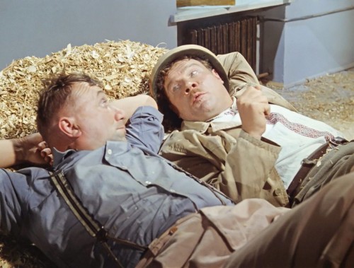 Работа не волк